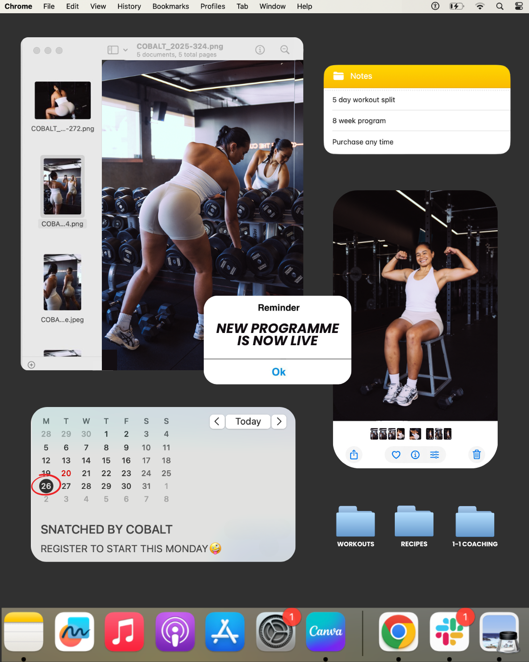 SNATCH (online program)