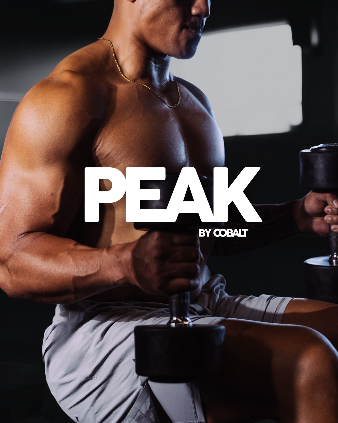 PEAK (online program)