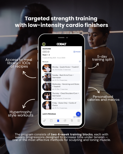 SNATCH (online program)