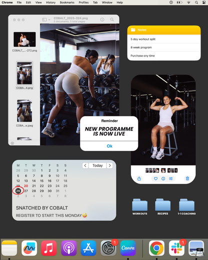 SNATCH (online program)